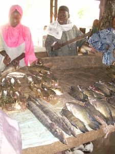 Sokone Fish Market