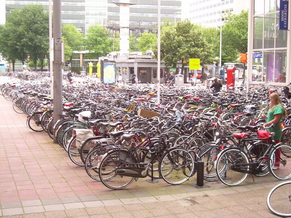 Sea of Bikes, Utrecht