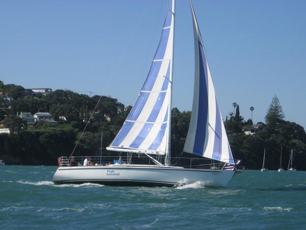 Sailing in Auckland Harbor