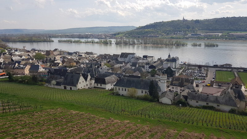 Blick auf Rüdesheim.