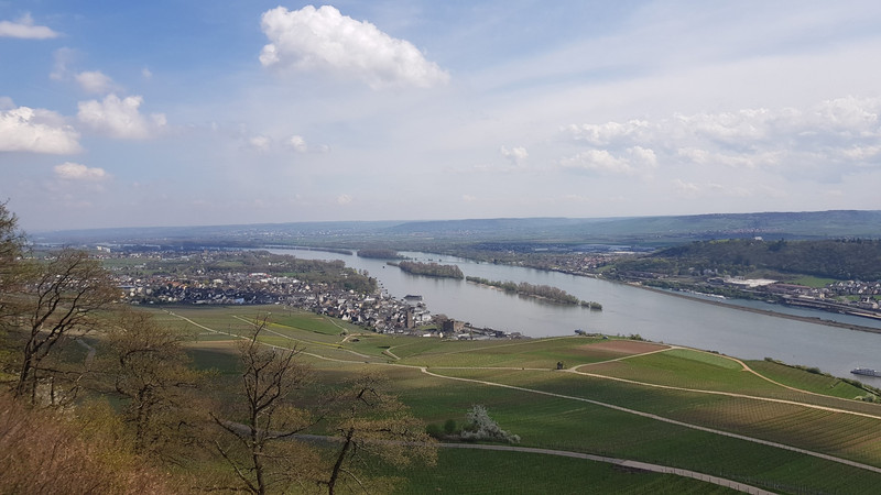 Blick auf Rüdesheim.