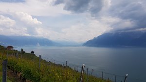 Für mich das Paradies: Der Genfer See.