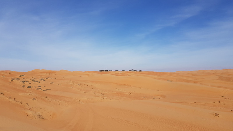 Fahrt durch die Wüste.