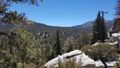 Ausflug mit der Aerial Tramway auf den Mount San Jacinto.