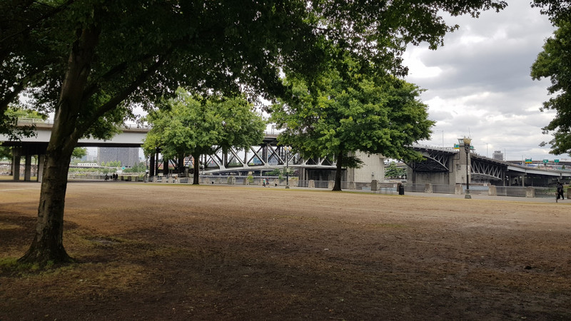 Tom McCall Waterfront Park.