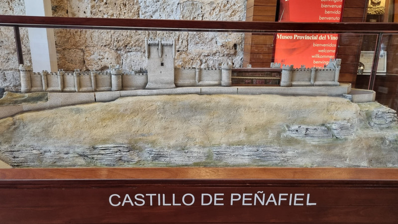 Besuch des Castillo de Penafiel.