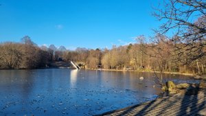 Spaziergang durch den Münchner Westpark.