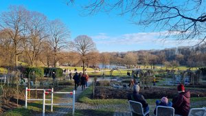 Spaziergang durch den Münchner Westpark.