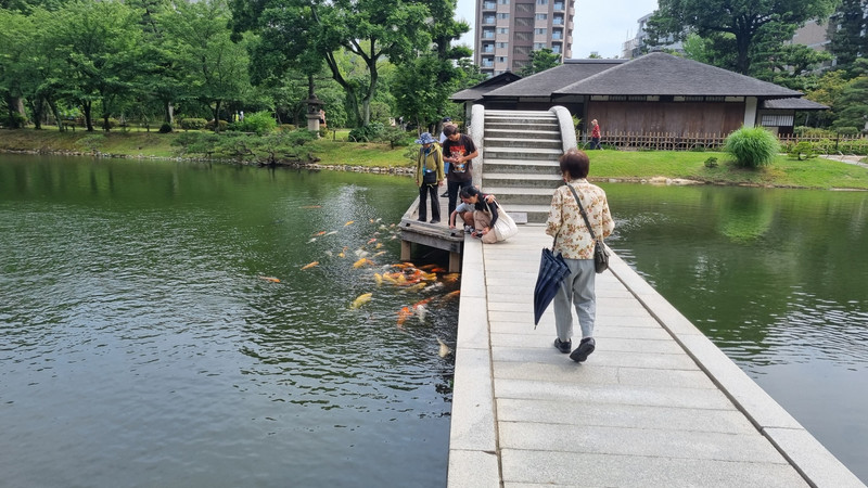 Im Shukkei-en Park von Hiroshima (man beachte die Koi Karpfen).