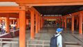 Fahrt zum Itsukushima-Schrein auf der Insel Miyajima.