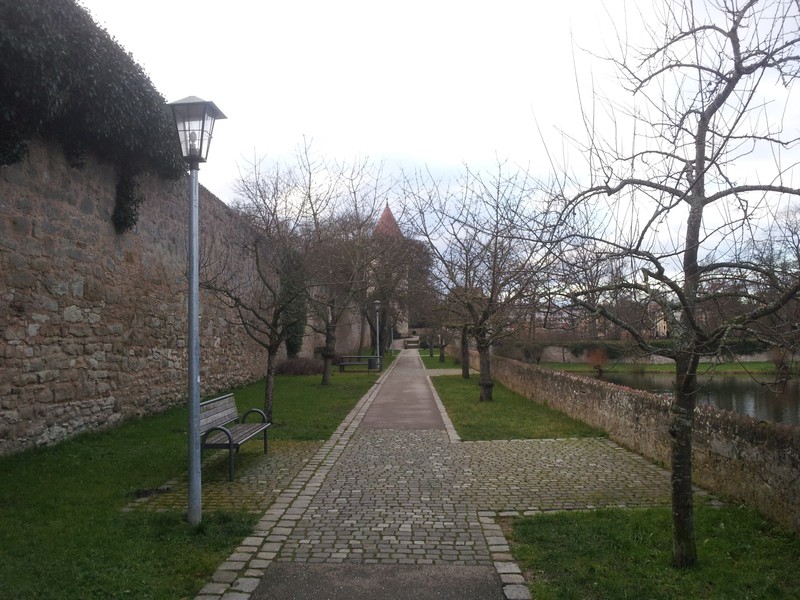 Stadtmauer am Stadtweiher.