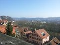 Blick vom Schloß auf den Neckar.