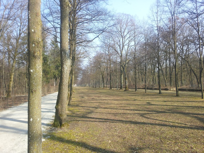 Im Park.