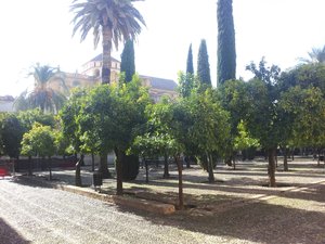 Die Mezquita-Catedral.