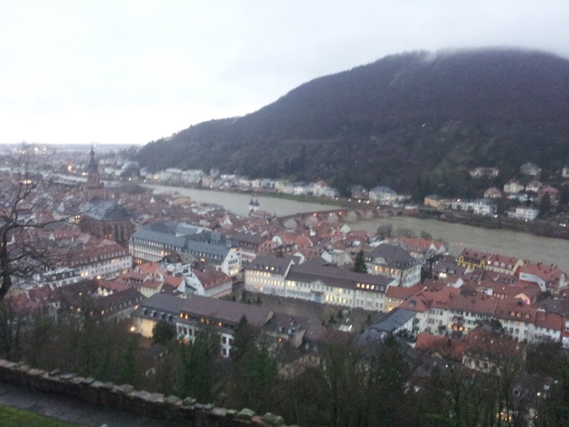 Blick auf Heidelberg.