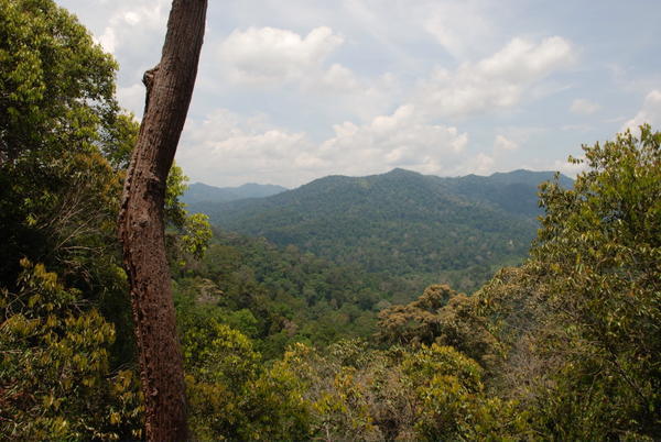 View from Bukit Teresek