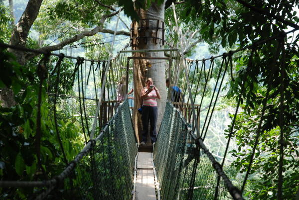 Leanne on the Canopy Walkway