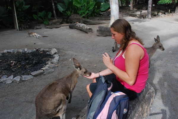 Leanne Feeding Kangaroos