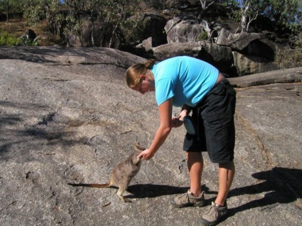 Leanne feeding a Wallabie