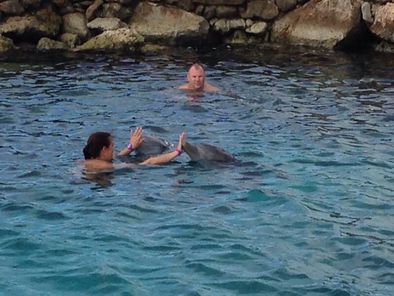 Swimming with the Dolphins