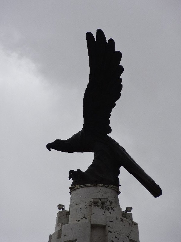 Eagle symbol of Tasikistan people.