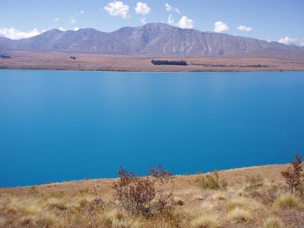 Blue Waters of Lake Tekapo