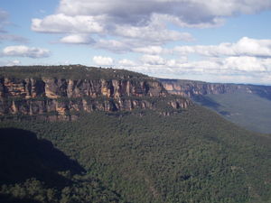 The wonder of the Blue Mountains