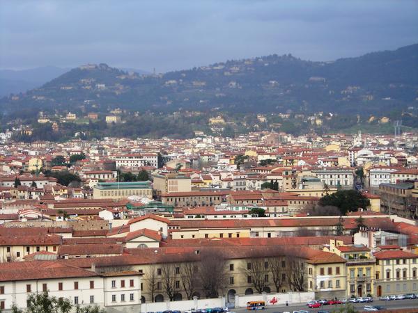 View of Florence closer