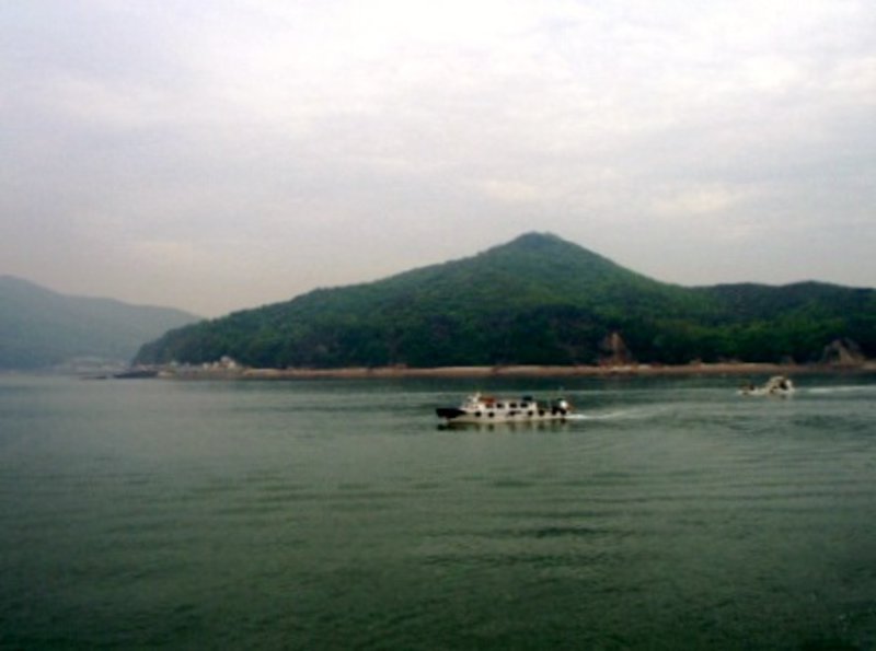 S Korea 8 May 2008-11