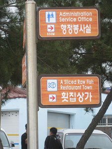 S Korea 61