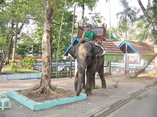 Yangon zoo