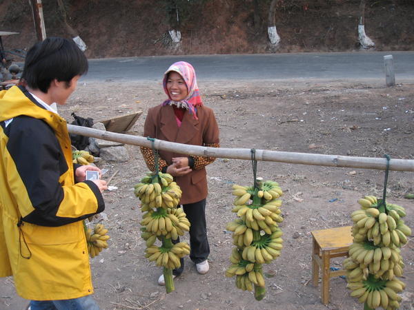 Roadside bananas