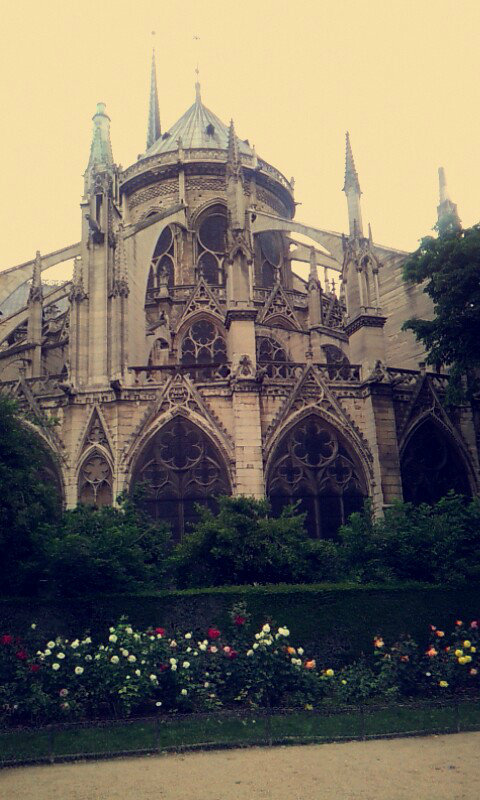 THE NOTRE DAME..