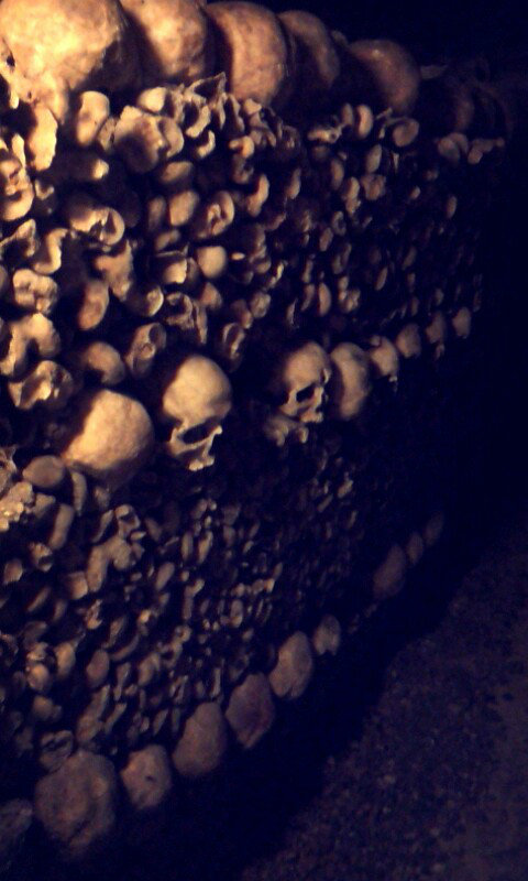 bones. bones. bones. bones.