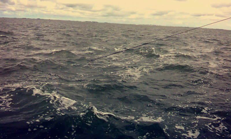 OCEAN VIEW.