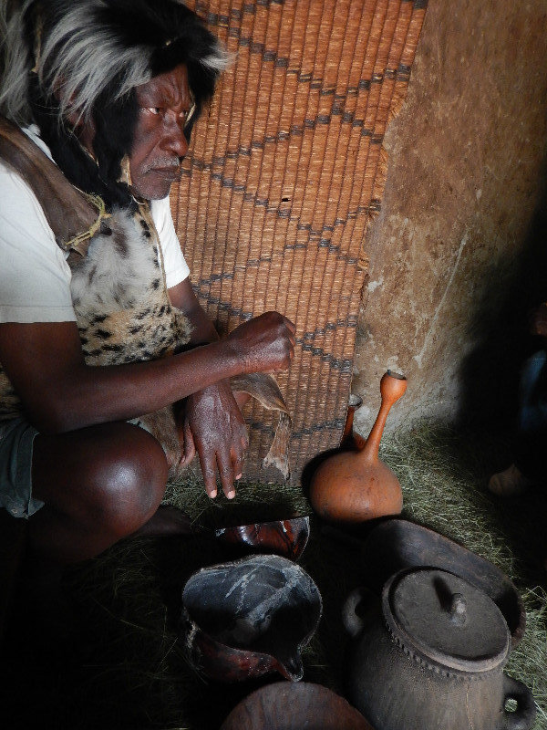 The traditional healer