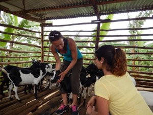 Laura teaching Lena goat handling
