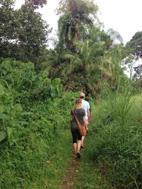 Hiking around the swamp