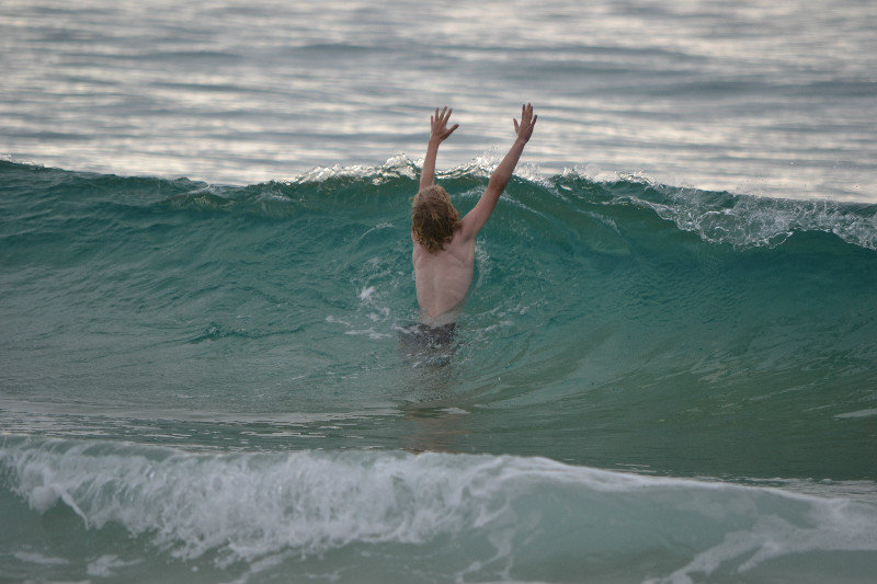 Fin worshipping the waves!