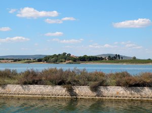 Camargue with canal next to an etang