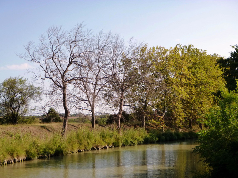 Canal du Midi Dead Trees