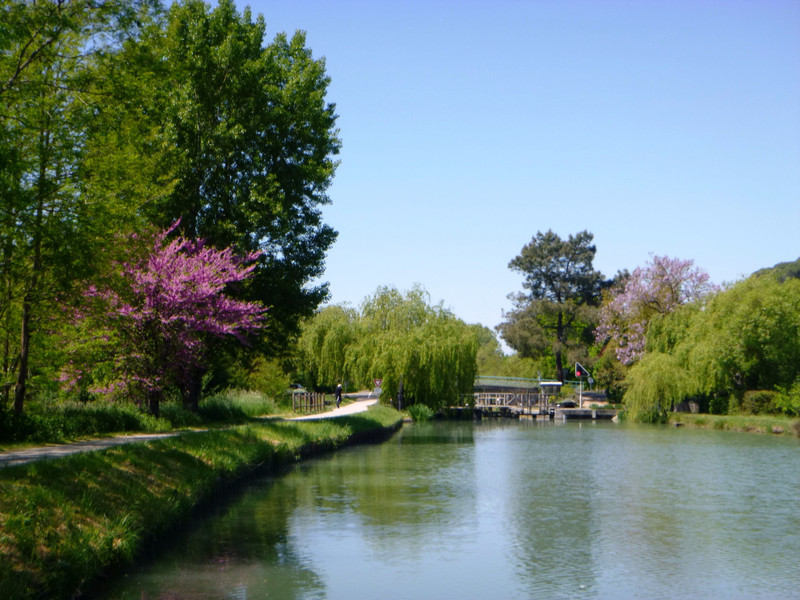  Canal Lateral Garonne  (3)