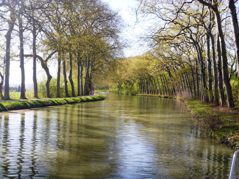 Spring in Canal du Midi