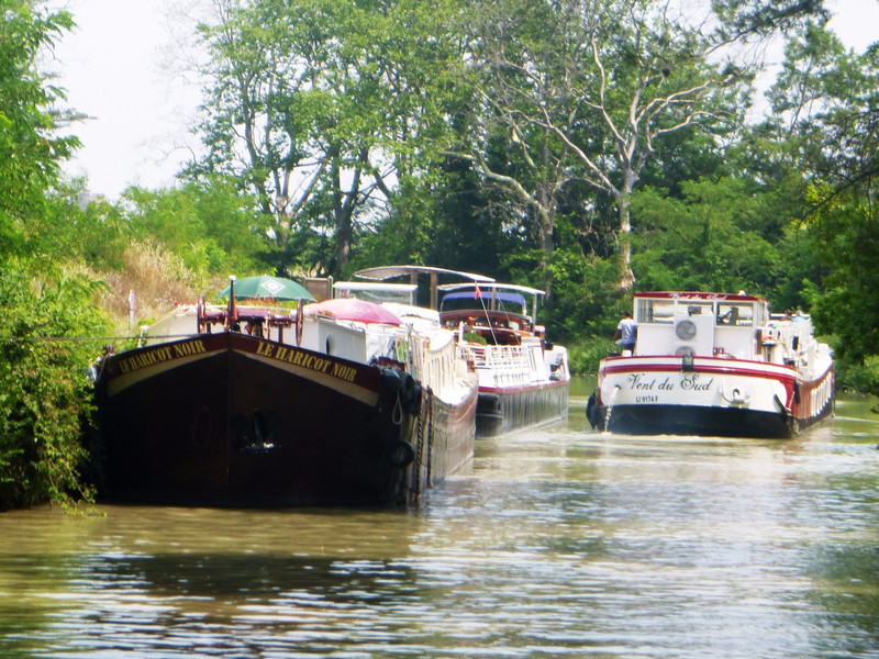 Congestion of hotel boats on the canal du midi