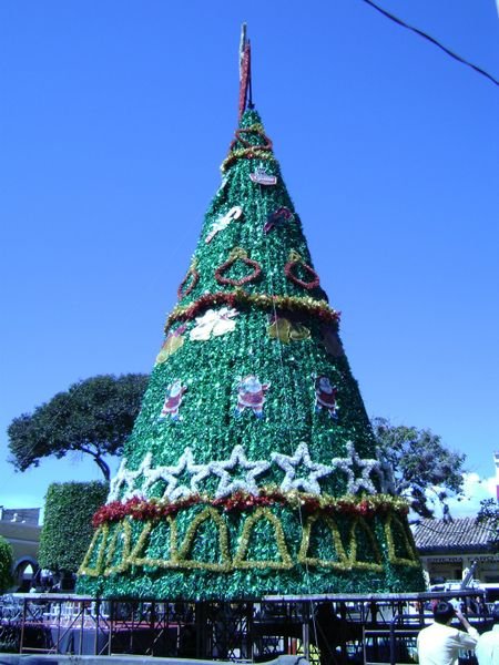 gallo christmas tree