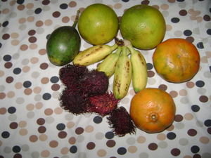 All this fruit for 50 Euro cents