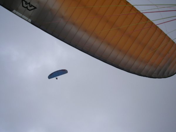 More paragliders