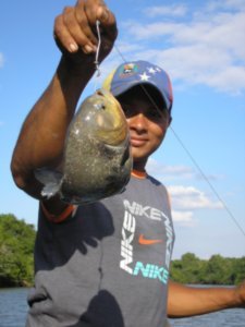 Our guide, Ramon, caught a big piranha