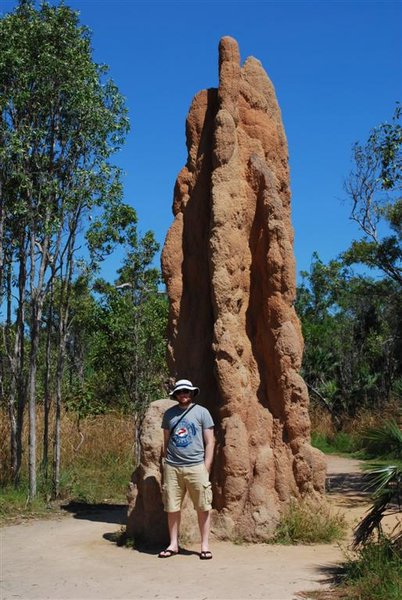 magnetic termite mound