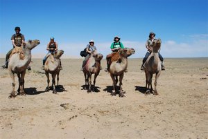 Camel ride to sand dunes